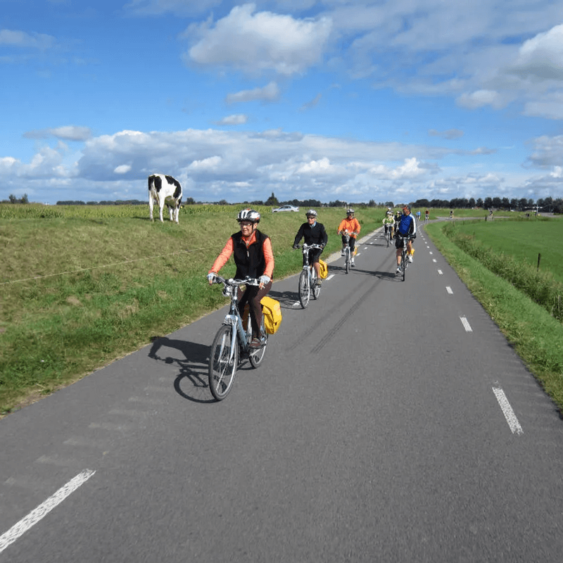 Webdesign Heemstede, Project Direct, Timo van Tilburg, Snel een Webdesigner Heemstede, Website laten maken Heemstede, Website laten bouwen Heemstede, SEO Heemstede, SEA Heemstede, Online Marketing Heemstede, Wordpress Heemstede, Zoekmachine optimalisatie Heemstede